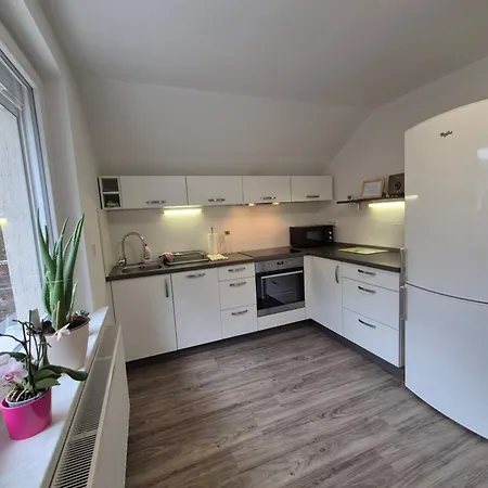 Apartment Petra Mojstrana