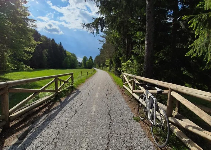 Petra מויסטראנה