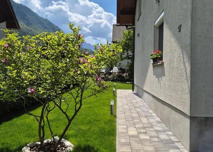 Petra * מויסטראנה